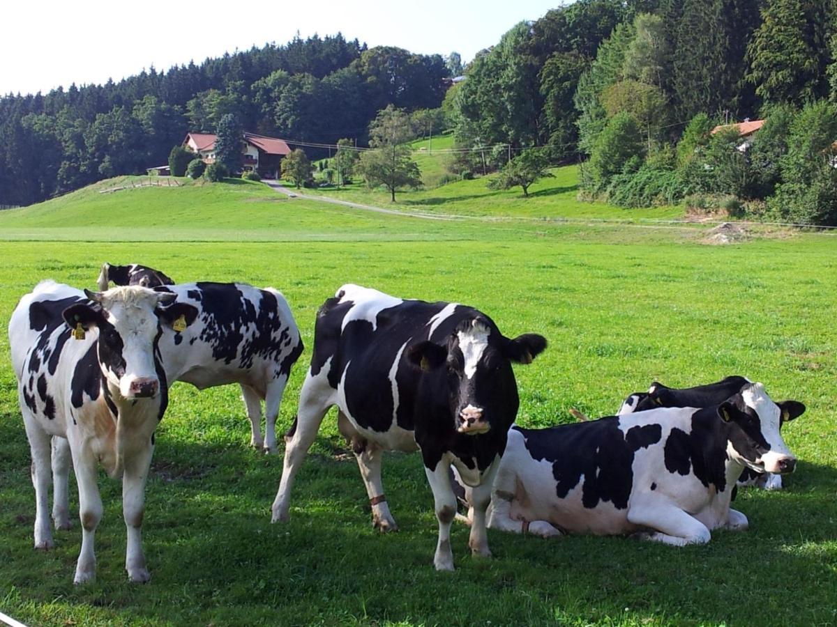 Direkt Zwischen Chiemsee U Alpen Dg Bernau am Chiemsee Bagian luar foto